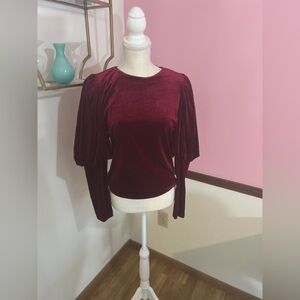 Lovely Velvet Top from Anthropologie